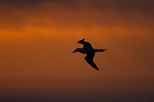 © Oliver Smart © Oliver Smart