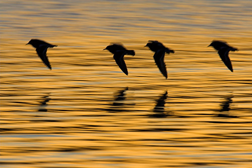 © Oliver Smart © Oliver Smart