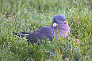 © Oliver Smart © Oliver Smart