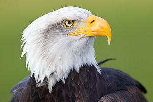 © Oliver Smart © Oliver Smart