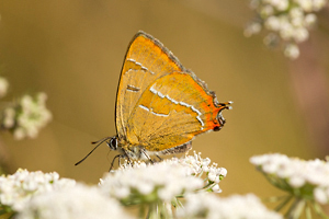 © Oliver Smart © Oliver Smart