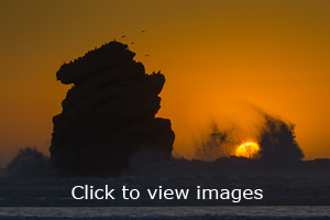 Click to start slideshow