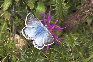 © Oliver Smart © Oliver Smart