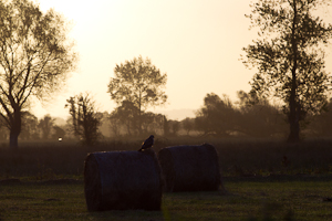 © Oliver Smart © Oliver Smart