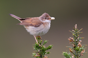 © Oliver Smart © Oliver Smart