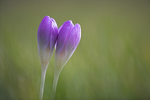 © Oliver Smart © Oliver Smart