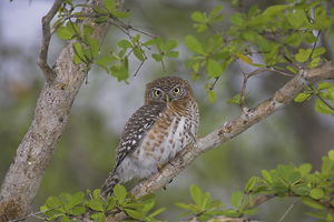 © Oliver Smart © Oliver Smart