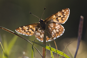 © Oliver Smart © Oliver Smart