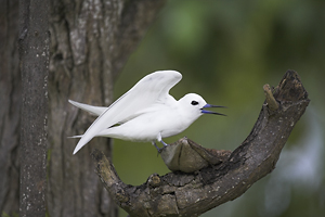 © Oliver Smart © Oliver Smart