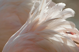 © Oliver Smart © Oliver Smart