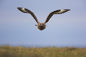 © Oliver Smart © Oliver Smart