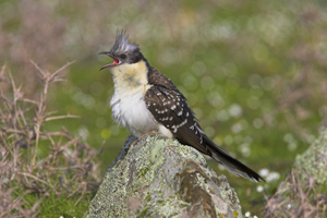 © Oliver Smart © Oliver Smart