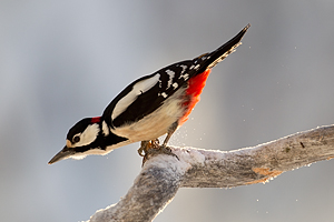 © Oliver Smart © Oliver Smart