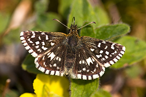 © Oliver Smart © Oliver Smart