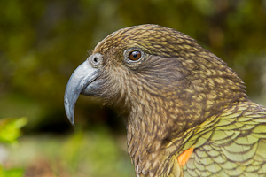 © Oliver Smart © Oliver Smart