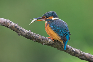 © Oliver Smart © Oliver Smart