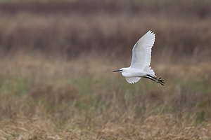 © Oliver Smart © Oliver Smart