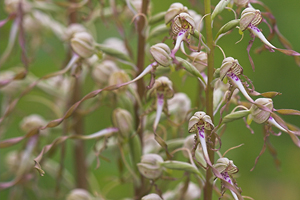 © Oliver Smart © Oliver Smart