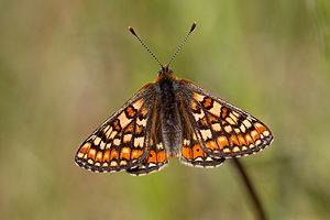 © Oliver Smart © Oliver Smart