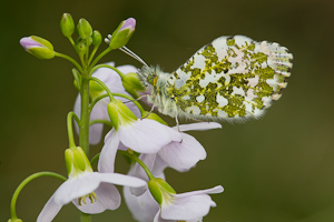 © Oliver Smart © Oliver Smart