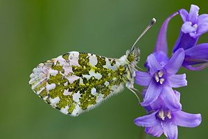 © Oliver Smart © Oliver Smart