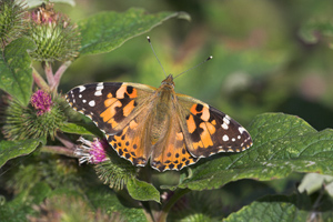 © Oliver Smart © Oliver Smart