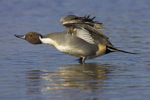 © Oliver Smart © Oliver Smart