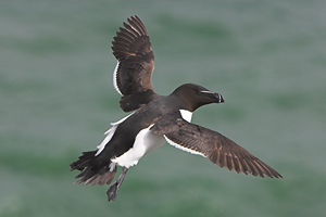 © Oliver Smart © Oliver Smart