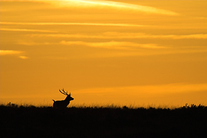 © Oliver Smart © Oliver Smart