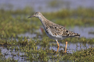 © Oliver Smart © Oliver Smart