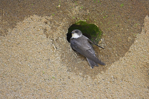 © Oliver Smart © Oliver Smart