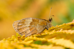 © Oliver Smart © Oliver Smart