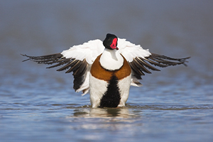 © Oliver Smart © Oliver Smart