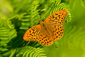 © Oliver Smart © Oliver Smart