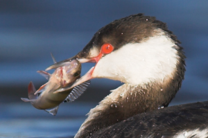 © Oliver Smart © Oliver Smart