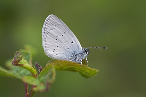 © Oliver Smart © Oliver Smart