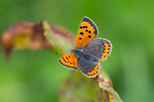 © Oliver Smart © Oliver Smart