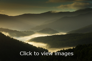 Click to start slideshow