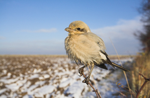 © Oliver Smart © Oliver Smart