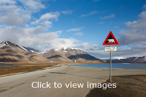 Click to start slideshow