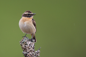 © Oliver Smart © Oliver Smart