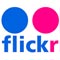 flickr logo