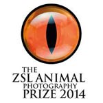 ZSL 2014 Banner